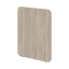Дуб Аттик